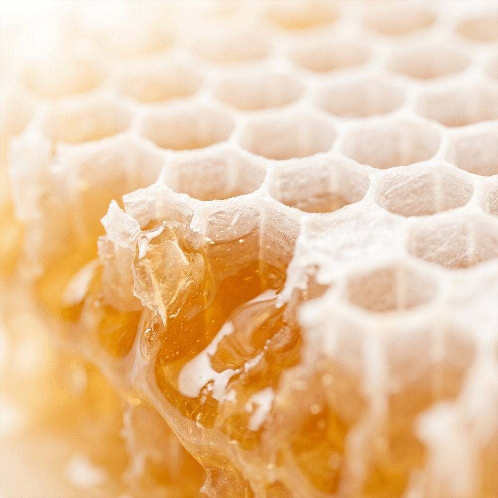 Honeycomb with golden honey, representing the beeswax in Radiance Under Eye Balm
