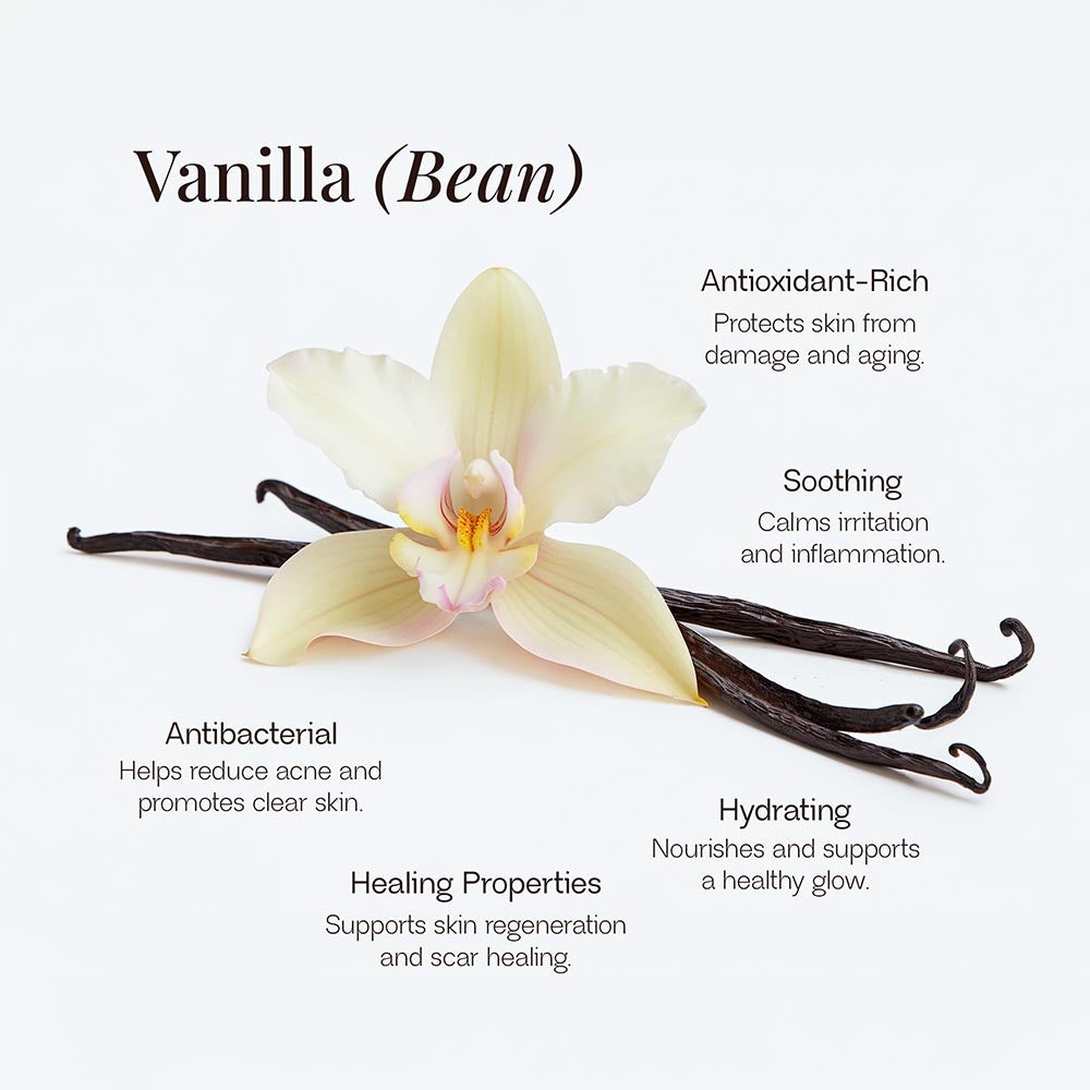Whipped Grass-Fed Tallow Balm with Vanilla Bean – Deep Hydration & Natural Skin Repair