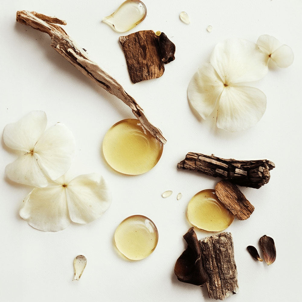 Whipped Grass-Fed Tallow Balm with Vanilla Bean – Deep Hydration & Natural Skin Repair