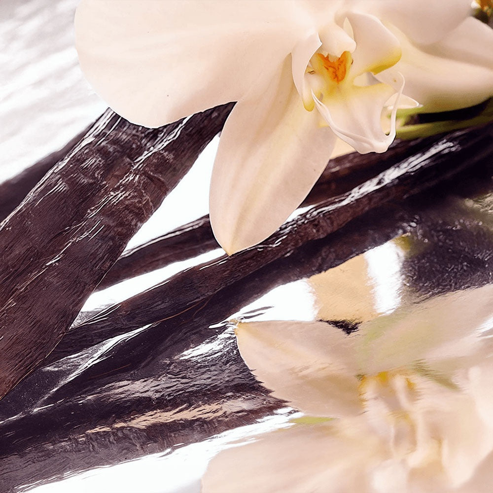 Whipped Grass-Fed Tallow Balm with Vanilla Bean – Deep Hydration & Natural Skin Repair